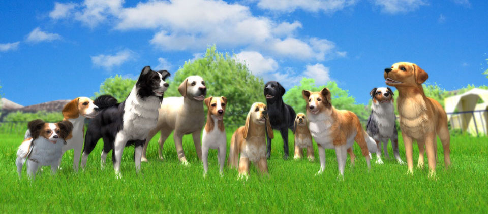 Dog Agility 3D