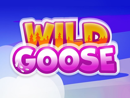 Wild Goose